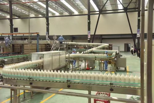 首屆中國綦江食品工業(yè)高質(zhì)量發(fā)展大會將于12月4日舉行，聚焦食品銷售新機(jī)遇