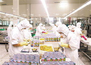 神栗公司 靠山養(yǎng)山，以林果產(chǎn)業(yè)架起深山與世界的致富橋梁