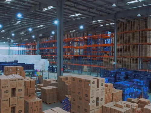 正新雞排 以硬實力領跑賽道，用品質重新定義行業標準