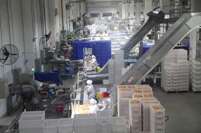 遂寧 以“智改數(shù)轉(zhuǎn)”為傳統(tǒng)產(chǎn)業(yè)“換芯”，驅(qū)動(dòng)食品銷售升級(jí)